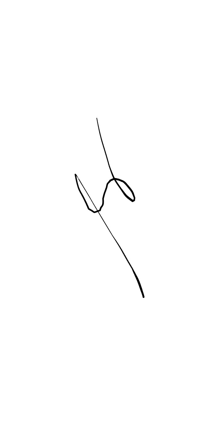 Acknowledgement Receipt